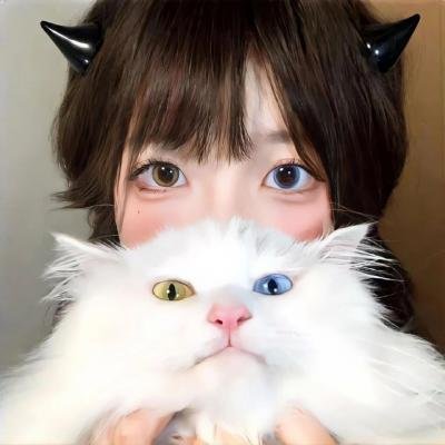 一日父子